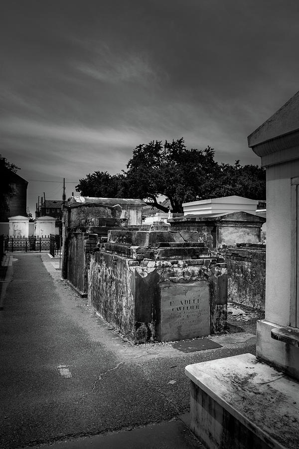 A Walk Along The Tombs In Black and White Photograph by Greg and Chrystal Mimbs