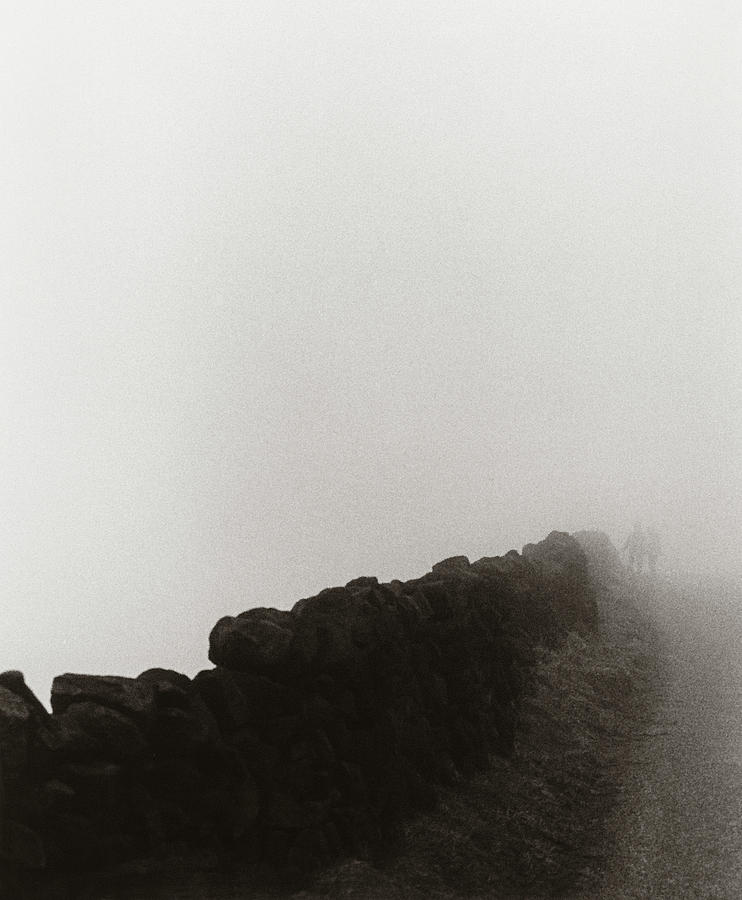  A walk in the fog Photograph by Anders Kustas