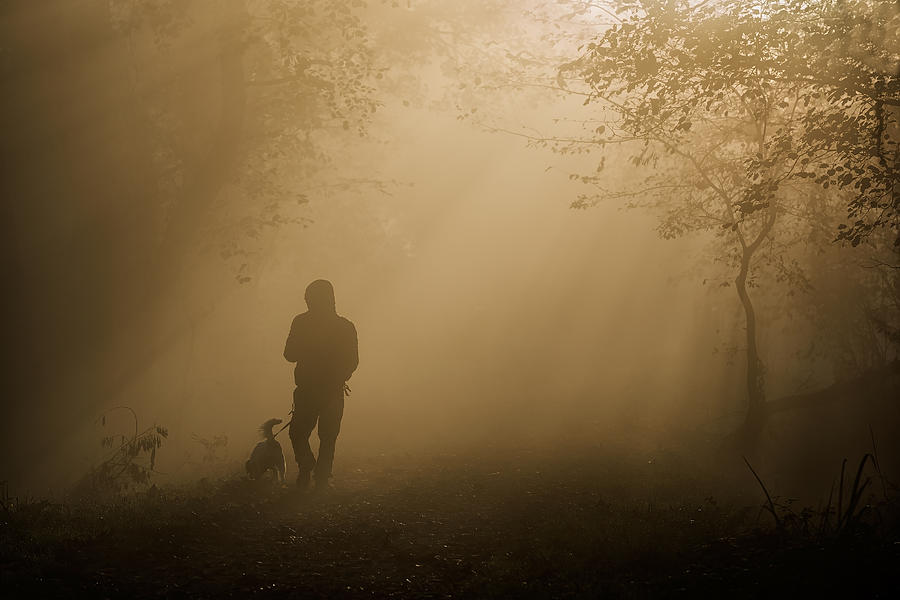 Adda Photograph - A Walk In The Fog by Roberto Marini