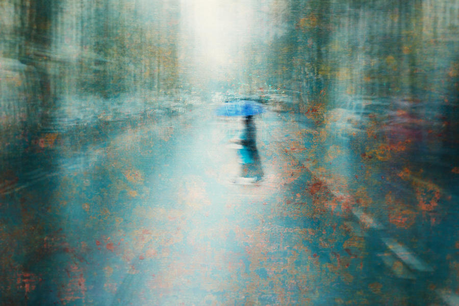 Umbrella Photograph - A Walk In The Seerosenteich by Heike Willers