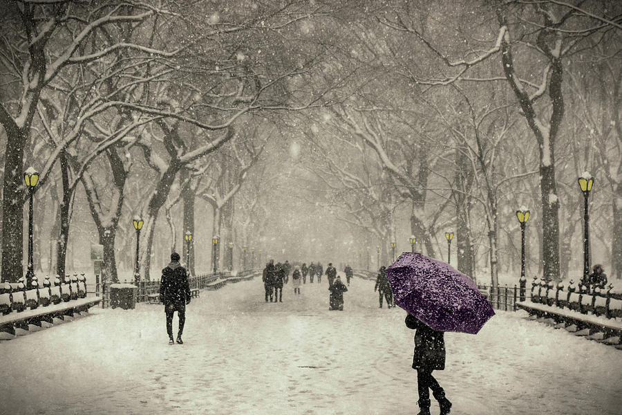A Walk In The Snow In The Park New York Painting by Movie Poster Prints