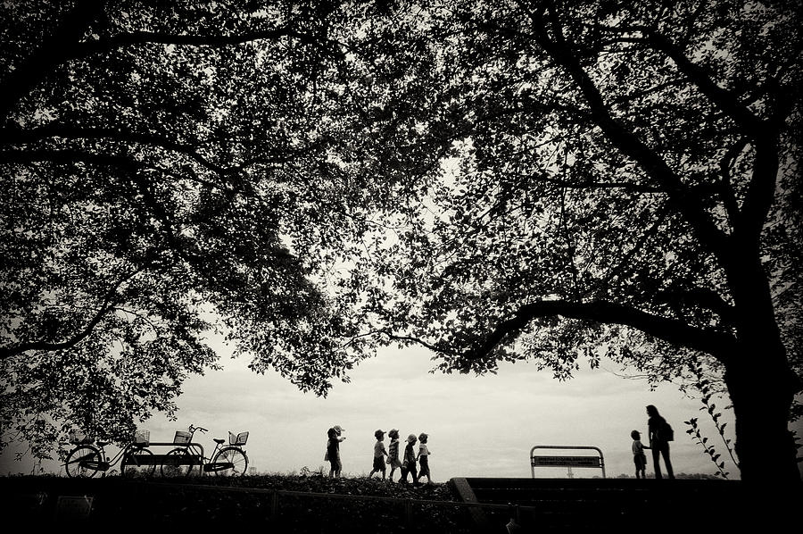 Tree Photograph - A Walk Of A Kindergarten by Kouji Tomihisa