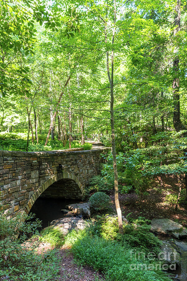 A Walkway Bridge Through Woodlands Photograph by Jennifer White | Fine ...