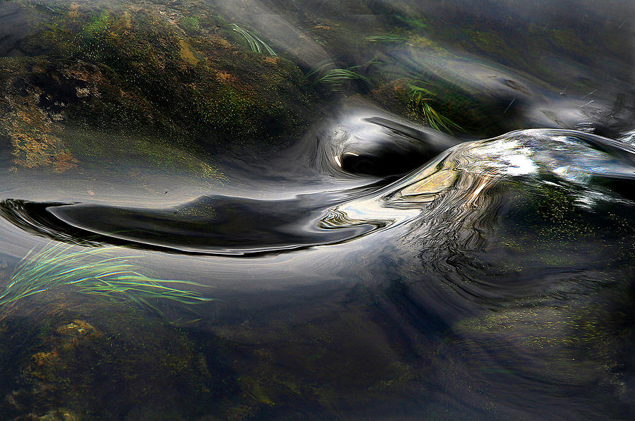 A Water Surface Photograph by Darija ?esto