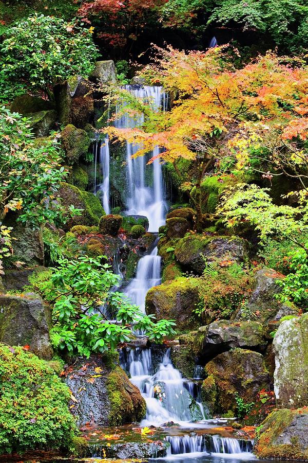 A Waterfall In The Portland Japanese Photograph by Design Pics / Craig Tuttle