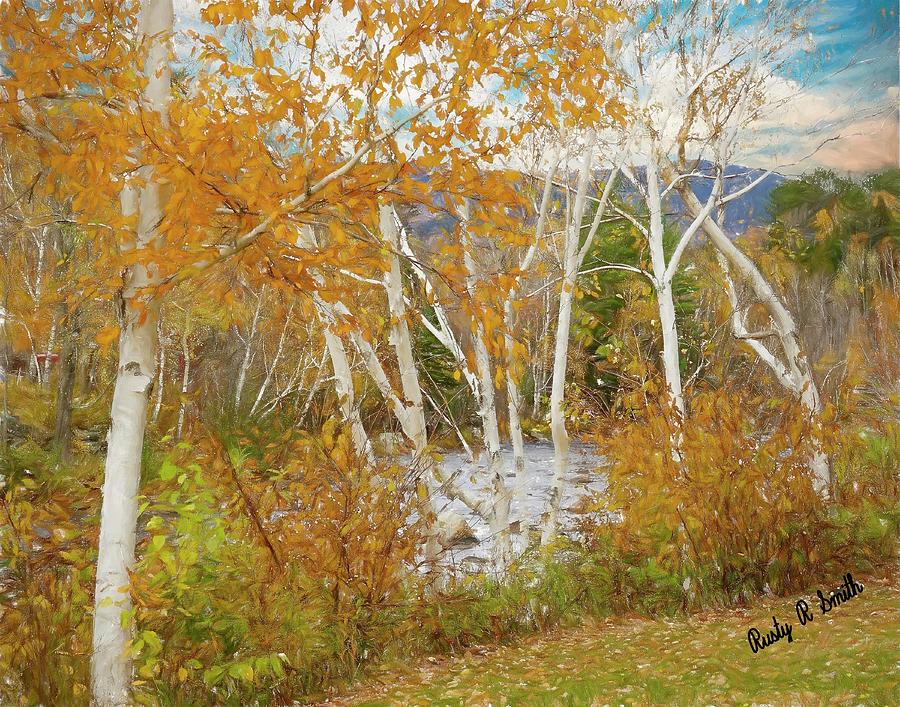 A white birch landscape. by Rusty R Smith A white birch landscape. by Rusty R Smith
