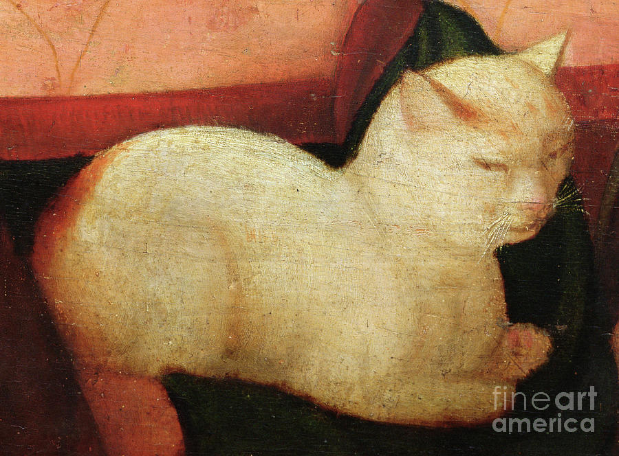 A White Cat, Detail From 'four People Laughing At The Sight Of A Cat ...