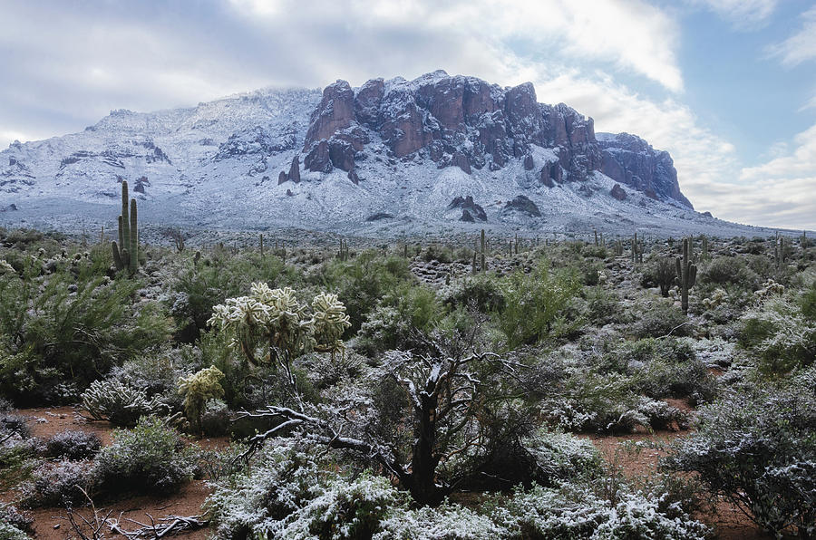 A White Winter in The Sonoran  Photograph by Saija Lehtonen