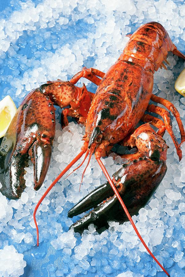 A Whole Cooked Lobster On Ice Photograph by Spyros Bourboulis