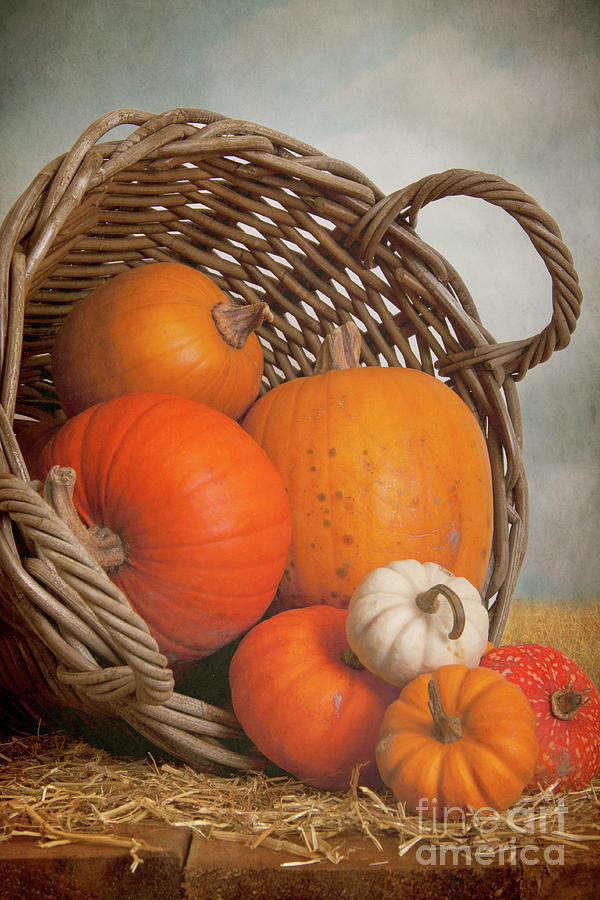 A Wicker Basket Full Of Pumpkins Photograph by Ethiriel Photography