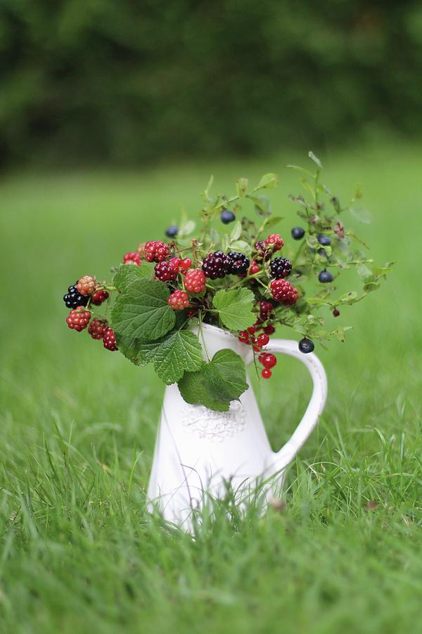 A Wild Berry Bouquet In An Enamel Jug On A Lawn Photograph by Sylvia E.k Photography