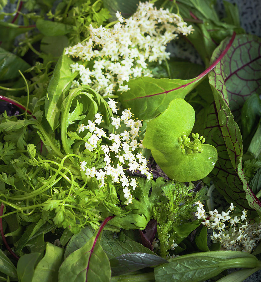 A Wild Herb Salad close-up Photograph by Eising Studio