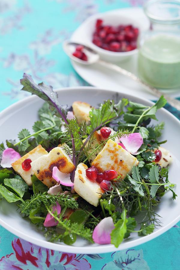 A Wild Herb Salad With Paneer Cheese And Pomegranate Seeds Photograph by Eising Studio - Food Photo & Video