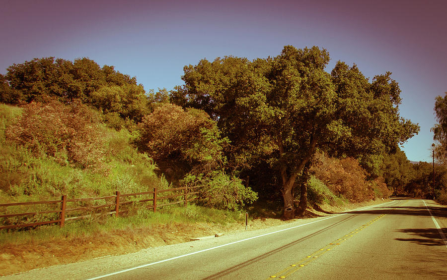 A winding road in ojai, green trees around in a warm yellow summ by Kim Vermaat A winding road in ojai, green trees around in a warm yellow summ by Kim Vermaat