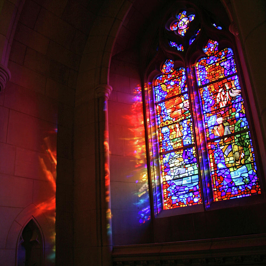 A Window In The National Cathedral Photograph by Cora Wandel