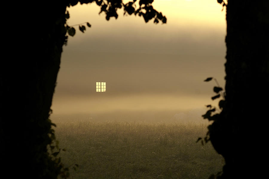 Poetry windows. Дверь в тумане. Туман за дверью. Туман из двери.