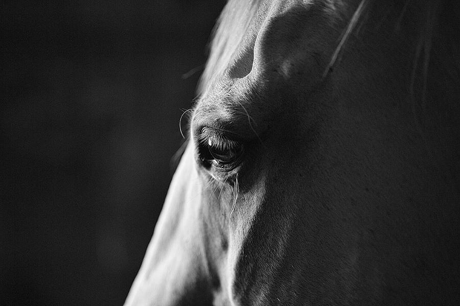 A Window to the Soul by SL Ernst A Window to the Soul by SL Ernst