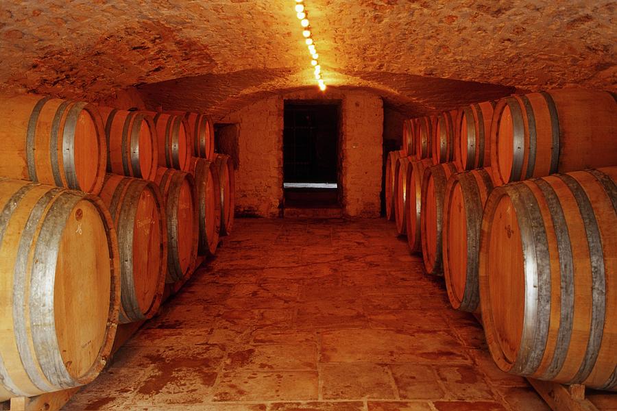 a-wine-cellar-photograph-by-limbour-bertrand-fine-art-america