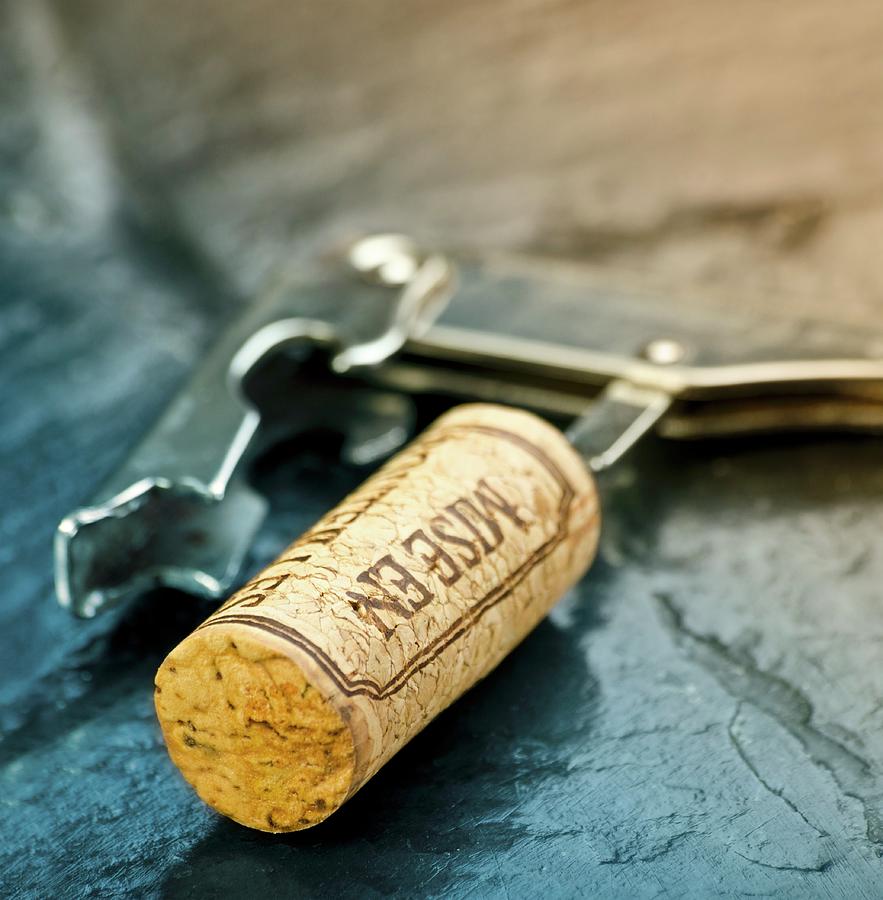 A Wine Cork On A Corkscrew Photograph by Chris Schfer