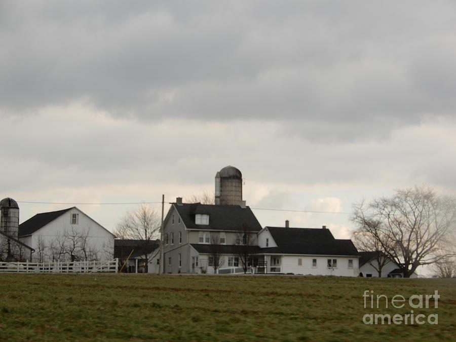 A Winter Amish Farmland View Photograph by Christine Clark