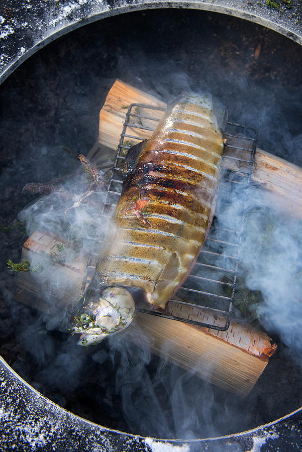 A Winter Barbecue: Salmon Trout Being Smoked With Juniper Berries norway Photograph by Lode Greven Photography