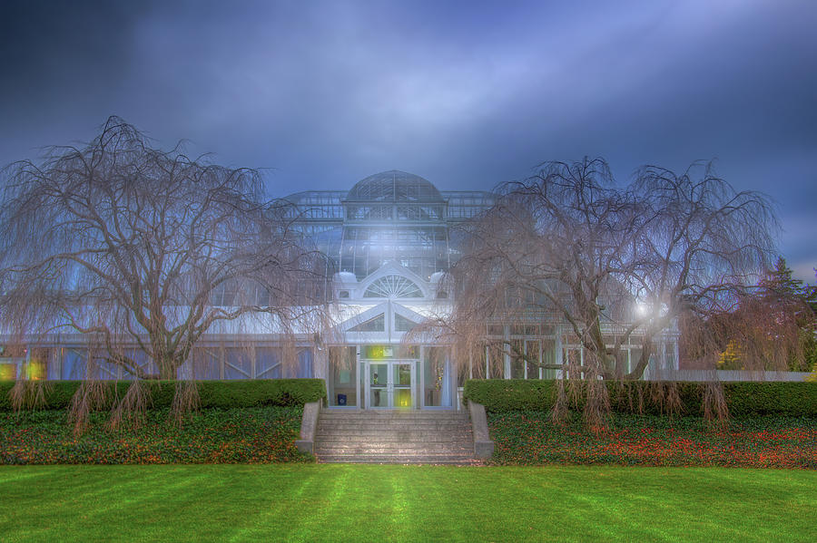 A Winter Evening at The New York Botanical Garden Photograph by Mark Andrew Thomas