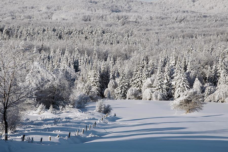 A Winter Landscape Photograph by Design Pics / David Chapman