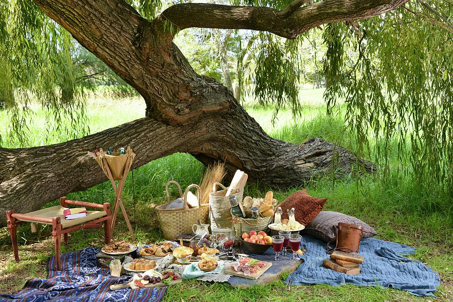 A Winter Picnic Under A Tree In South Africa Photograph by Great Stock!