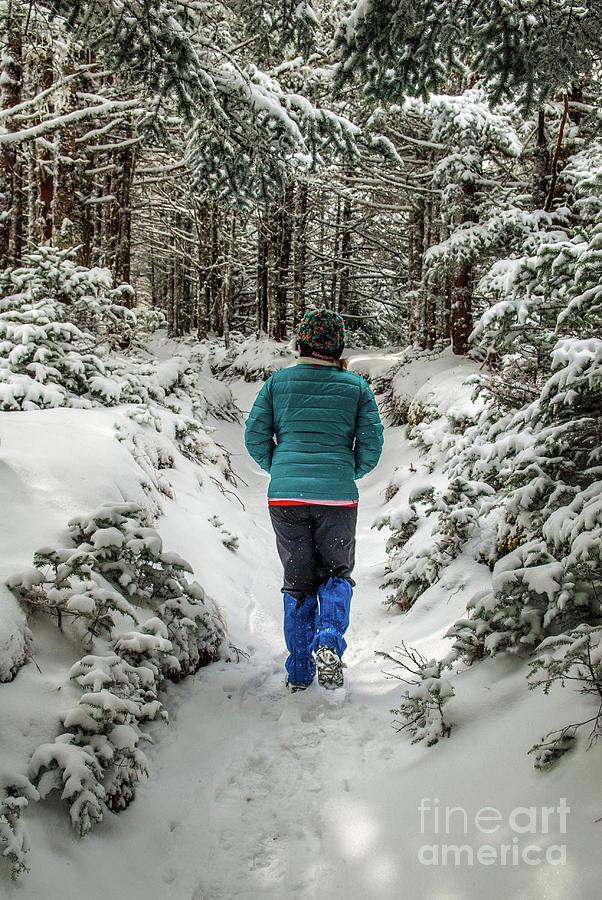 A Winter Stroll Photograph by Bernd Billmayer Fine Art America