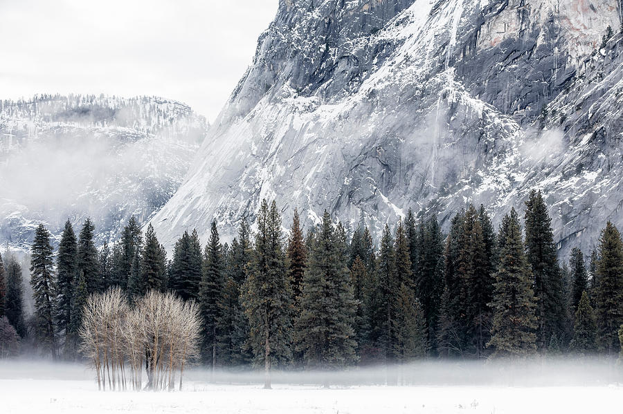 Yosemite National Park Photograph - A Winters Morning by Ted Hesser
