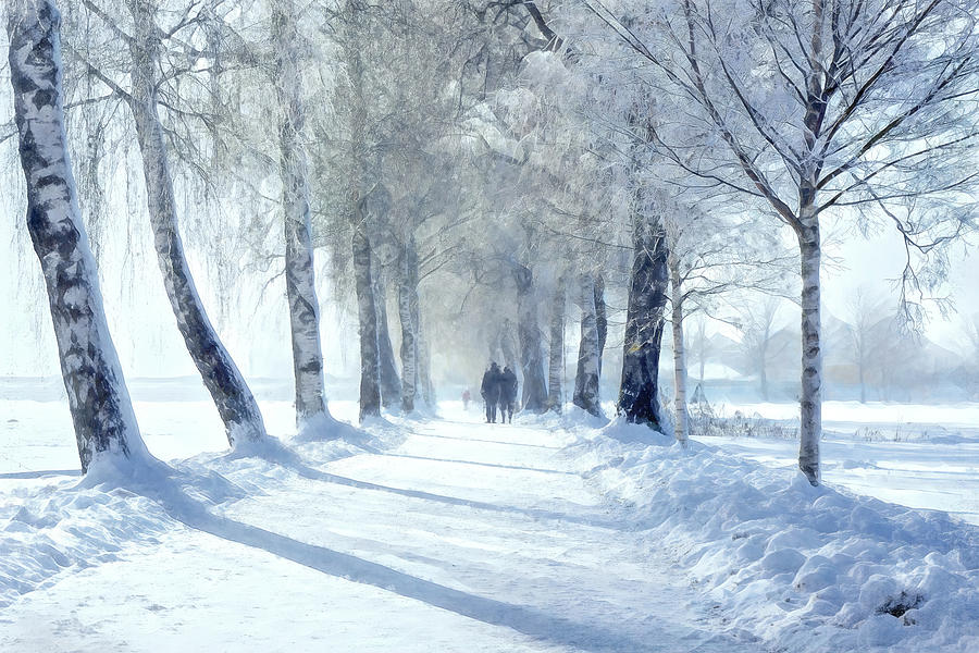 A Winters Path Digital Art by Terry Davis