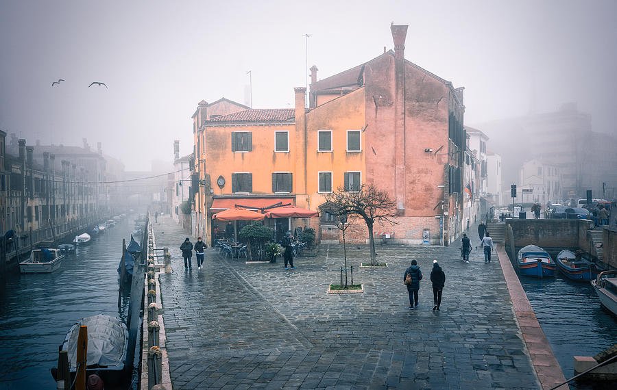 A Winter\s Tale Photograph by Tommaso Pessotto