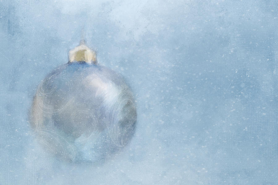 A Wintery Christmas Digital Art by Terry Davis