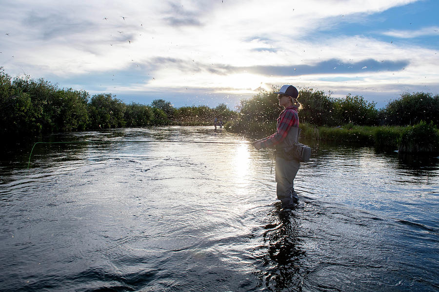 Fish Photograph - A Woman Fishing During The Brown Drake Hatch, Silver Creek River Idaho by Cavan Images