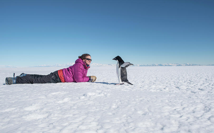 A Woman Has A Close Encounter With An Adelie Penguin In Antarctica ...