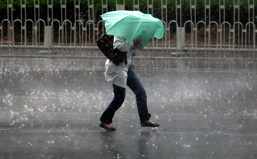 A Woman Struggles to Hold an Umbrella Photograph by David Gray - Fine ...