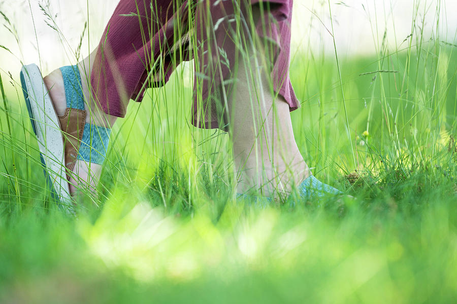 A Woman S Feet In Blue Sandals Walking Through The Grass On A Sunny Day Photograph By Cavan
