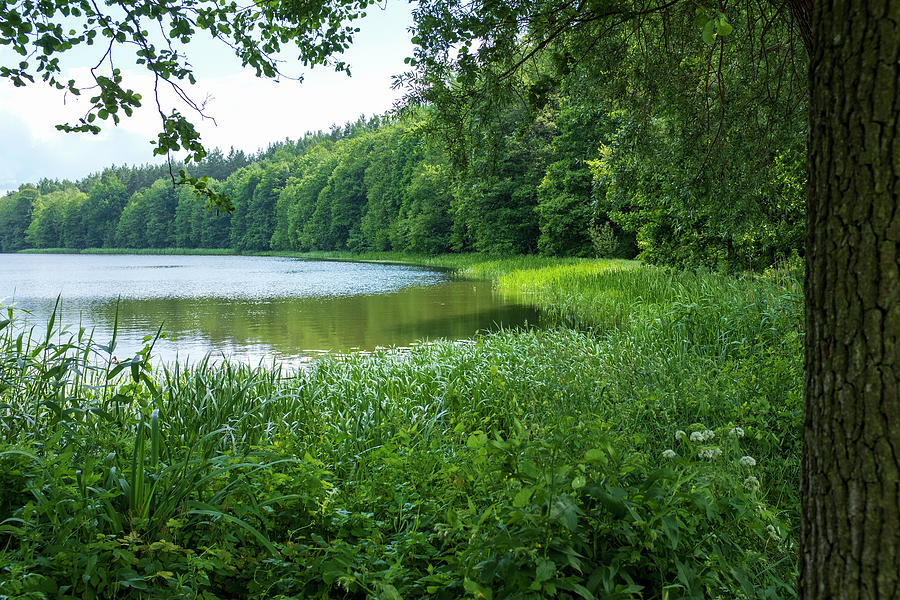 a wonderful lake near Swieta Lipka Chapel Photograph by Dubi Roman