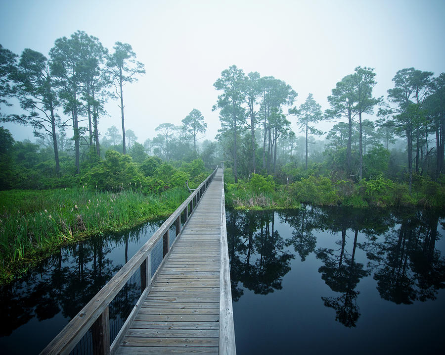 A Wooden Boardwalk Over A River With by David Duchemin / Design Pics