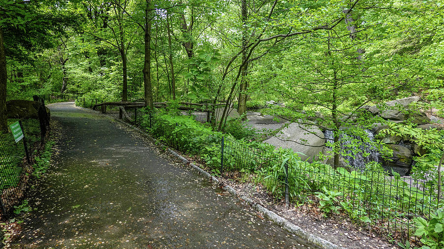 A Woodland Walk In Manhattan Photograph