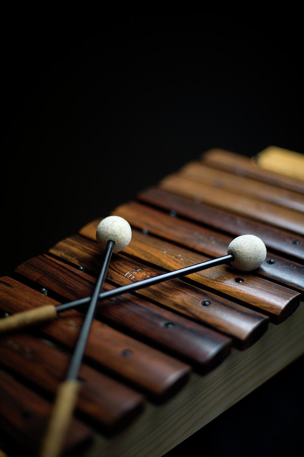 A Xylophone Photograph by Studio Blond