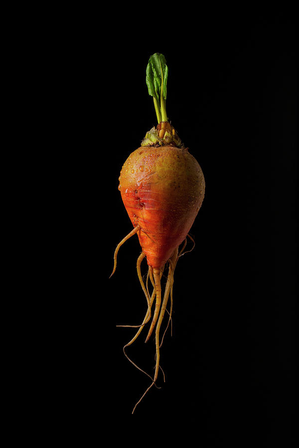 A Yellow Beet Against A Black Background Photograph by Christian Schuster