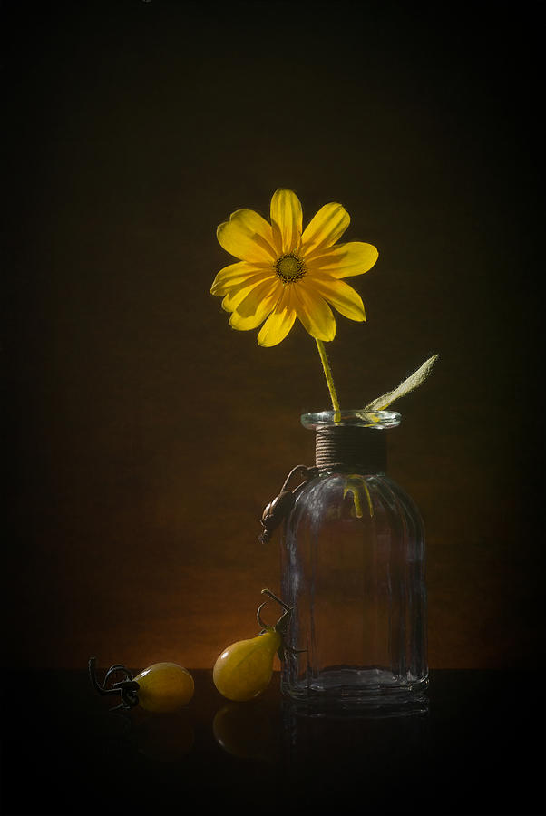 A Yellow Flower Photograph by Lydia Jacobs
