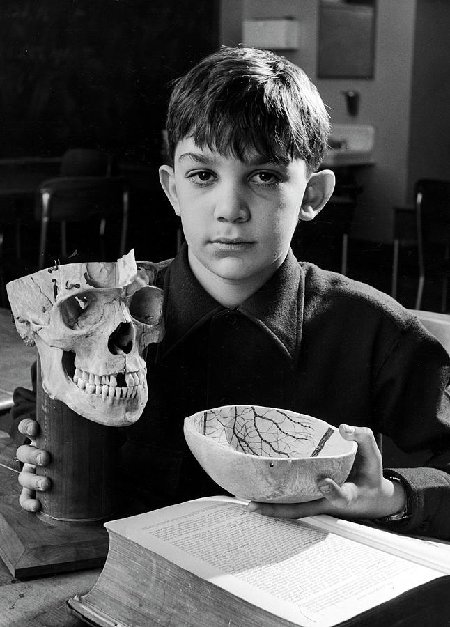 New York City Photograph - A Young Boy Holds A Human Skull by Nina Leen