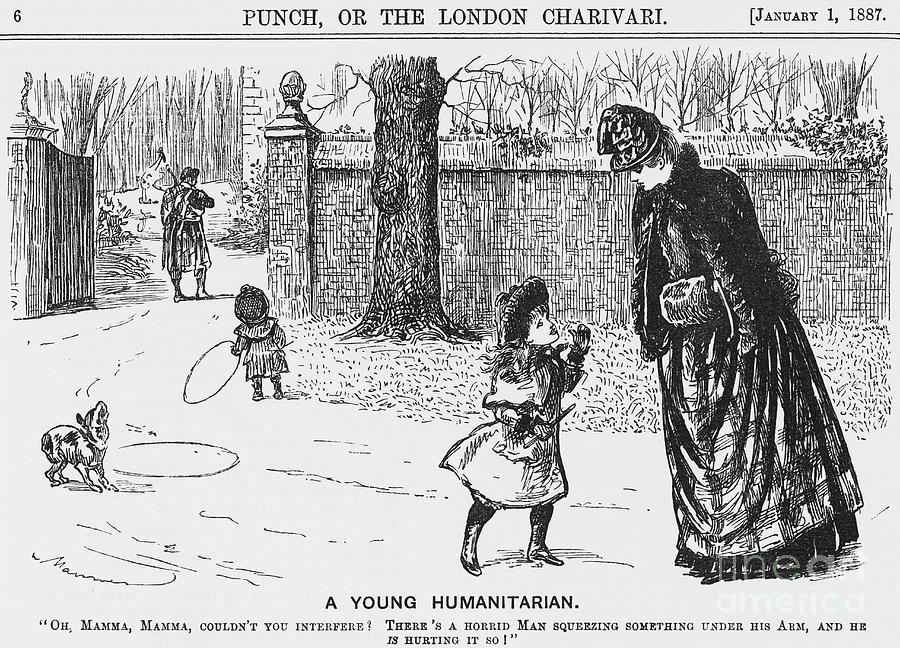 A Young Humanitarian, 1887. Artist Drawing by Print Collector