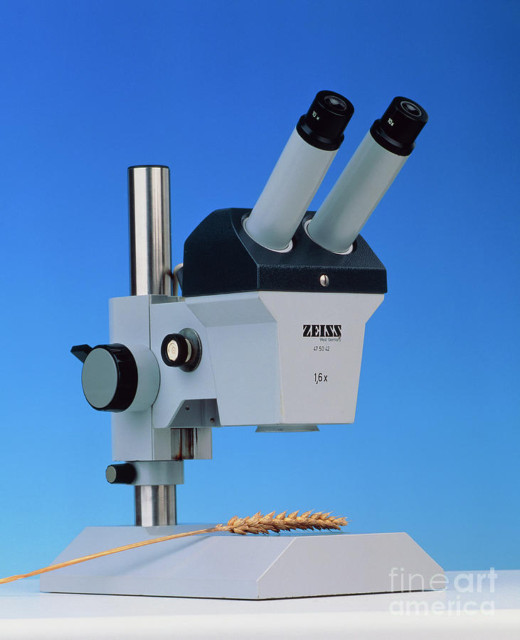 A Zeiss Binocular Optical (light) Microscope Photograph by Astrid & Hanns-frieder Michler/science Photo Library