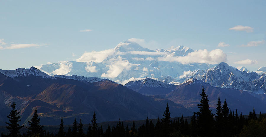 A27 Magestic Mt Denali Photograph by Judy Syring - Fine Art America