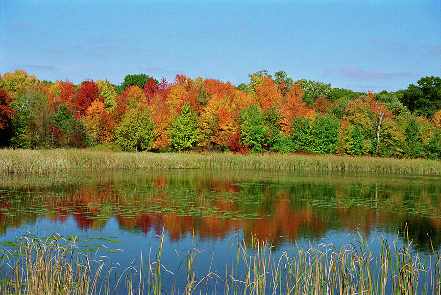 AA3 Autumn Pond Photograph by Judy Syring - Fine Art America