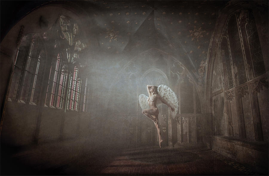 Single Photograph - Abandon Angel by Chris Netton Single Photograph - Abandon Angel by Chris Netton