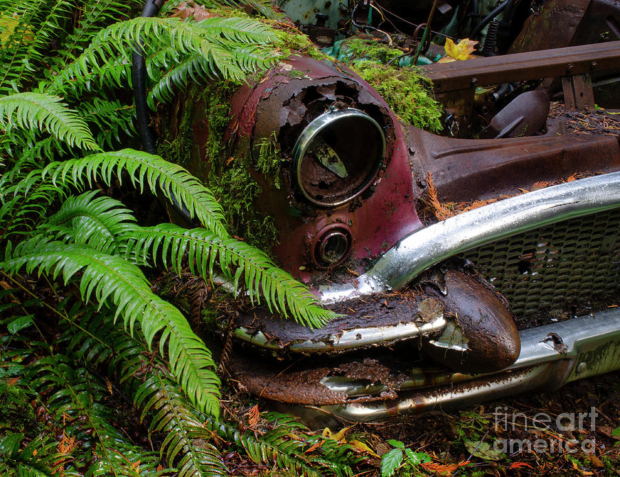 Abandoned Car Series 2 Photograph by Bob Christopher
